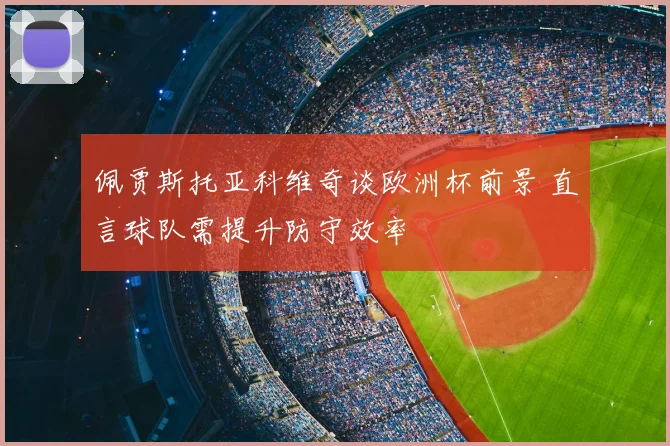 佩贾斯托亚科维奇谈欧洲杯前景 直言球队需提升防守效率