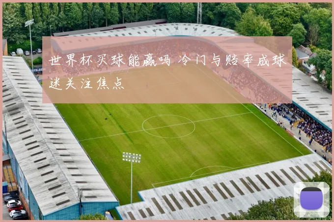 世界杯买球能赢吗 冷门与赔率成球迷关注焦点