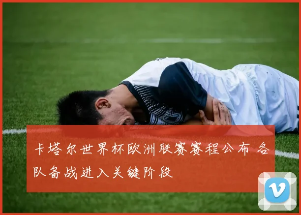 卡塔尔世界杯欧洲联赛赛程公布 各队备战进入关键阶段