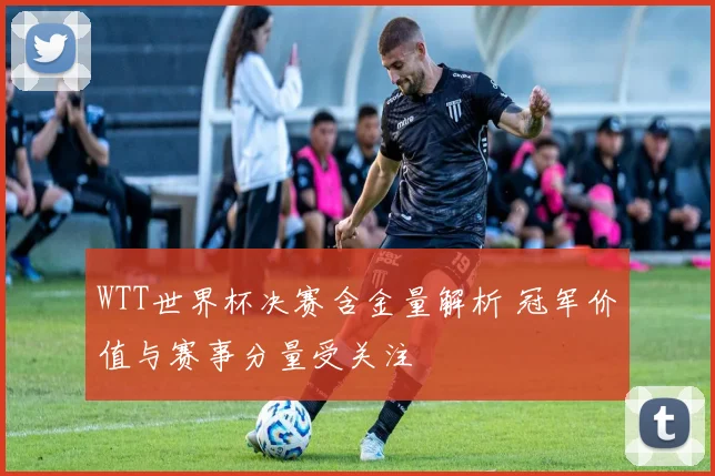 WTT世界杯决赛含金量解析 冠军价值与赛事分量受关注